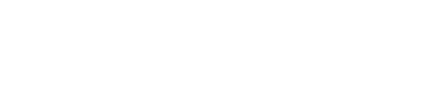 THE CRAZY MUSHROOMS